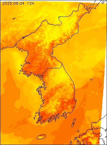 2025-08-04 12 : 00