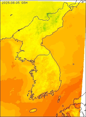 2025-08-05 05 : 00