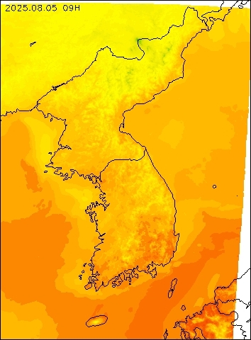 2025-08-05 09 : 00