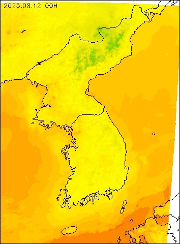 2025-08-12 00 : 00