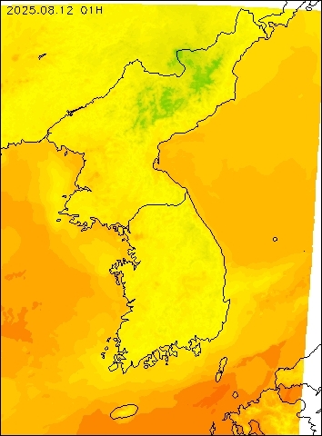 2025-08-12 01 : 00