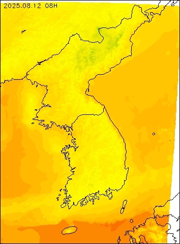 2025-08-12 08 : 00