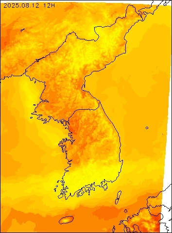 2025-08-12 12 : 00