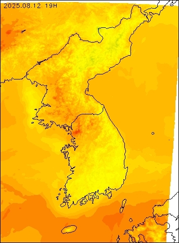 2025-08-12 19 : 00