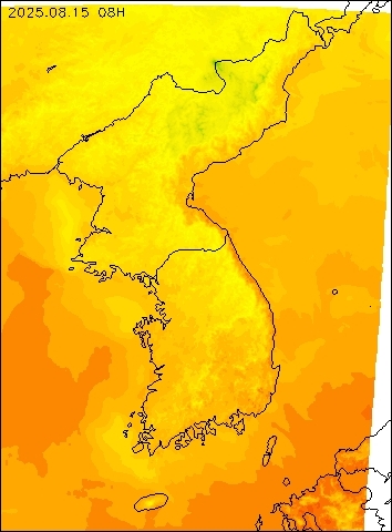 2025-08-15 08 : 00