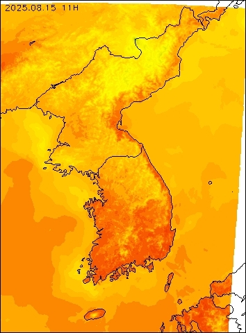 2025-08-15 11 : 00