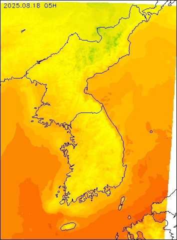 2025-08-18 05 : 00