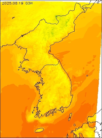 2025-08-19 03 : 00
