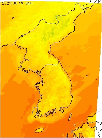 2025-08-19 05 : 00