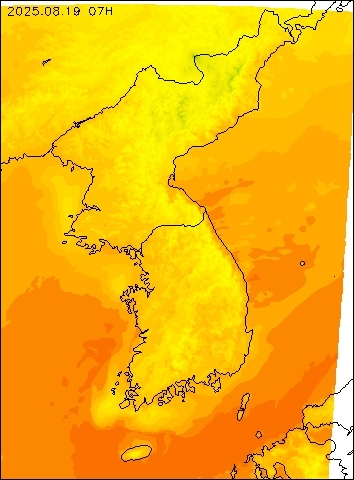 2025-08-19 07 : 00