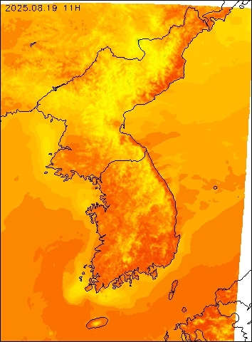 2025-08-19 11 : 00