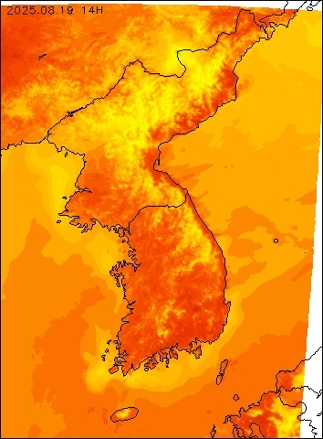 2025-08-19 14 : 00