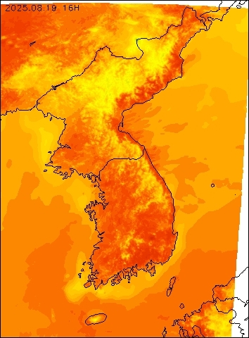 2025-08-19 16 : 00