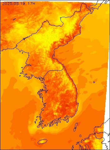 2025-08-19 17 : 00