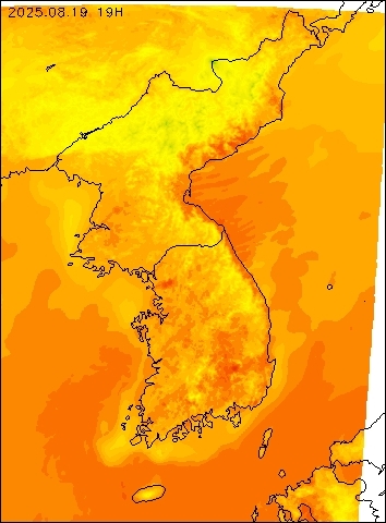 2025-08-19 19 : 00