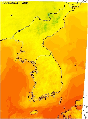 2025-08-31 05 : 00