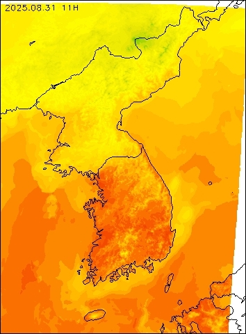 2025-08-31 11 : 00