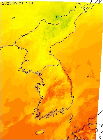 2025-09-01 11 : 00
