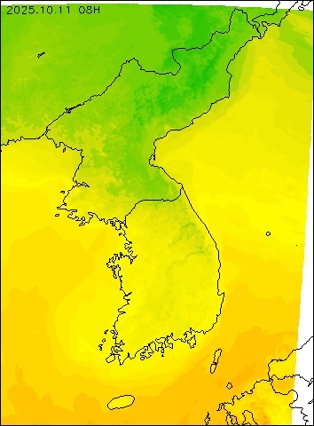 2025-10-11 08 : 00