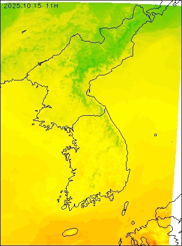 2025-10-15 11 : 00
