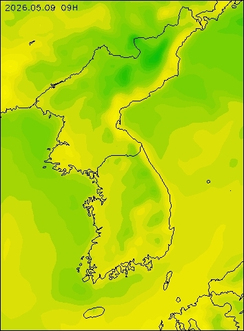 2026-05-09 09 : 00