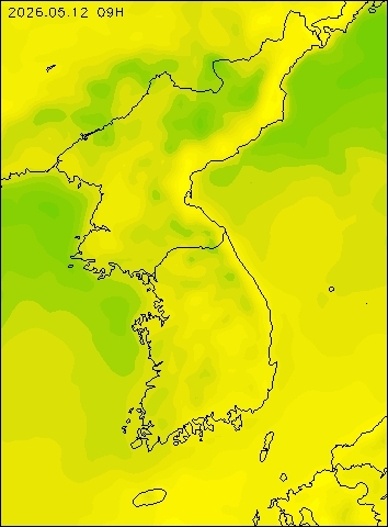 2026-05-12 09 : 00