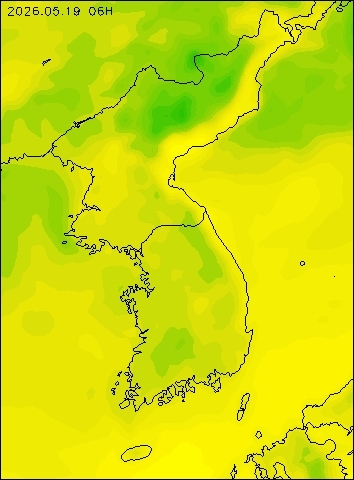 2026-05-19 06 : 00