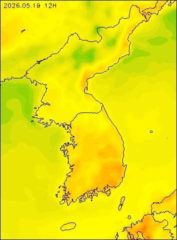 2026-05-19 12 : 00