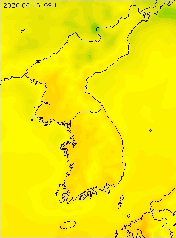 2026-06-16 09 : 00