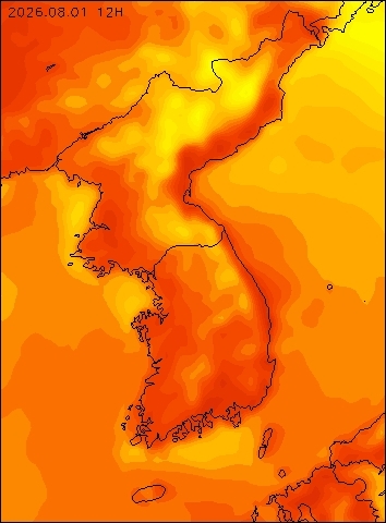 2026-08-01 12 : 00