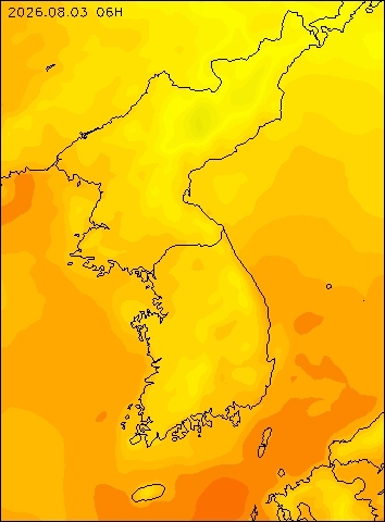 2026-08-03 06 : 00