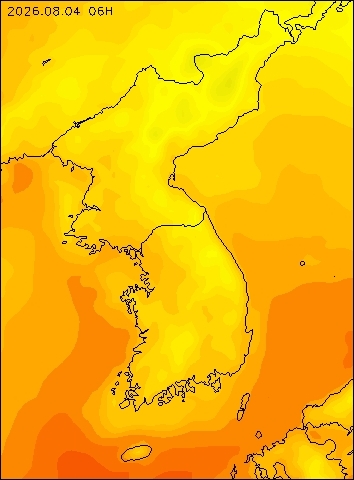 2026-08-04 06 : 00