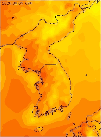 2026-08-05 09 : 00