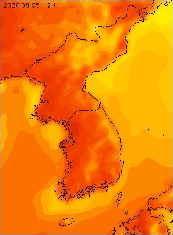 2026-08-05 12 : 00