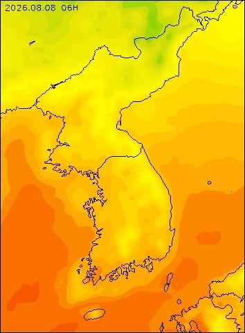 2026-08-08 06 : 00