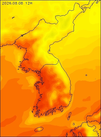 2026-08-08 12 : 00