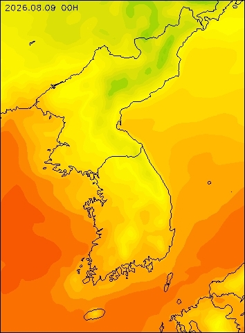 2026-08-09 00 : 00