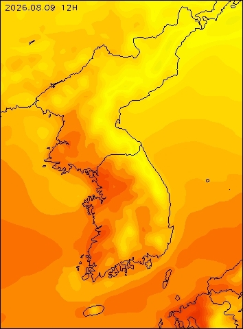 2026-08-09 12 : 00