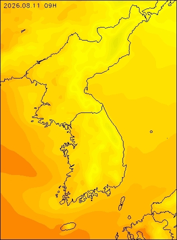 2026-08-11 09 : 00