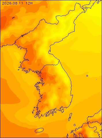 2026-08-11 12 : 00