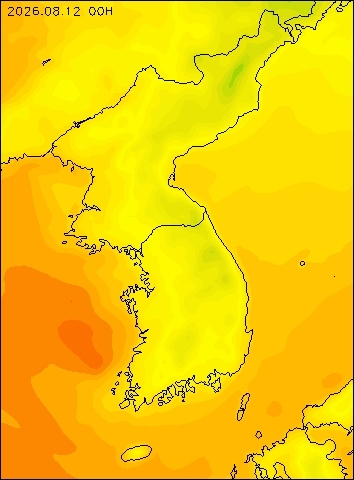 2026-08-12 00 : 00