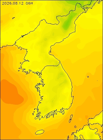 2026-08-12 06 : 00
