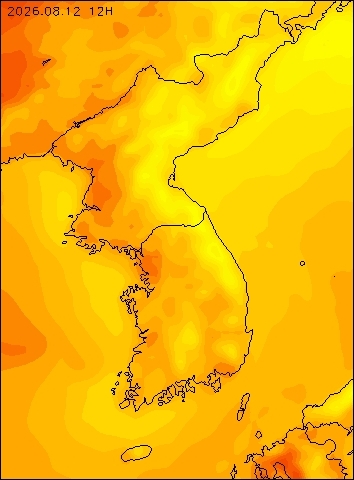 2026-08-12 12 : 00
