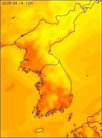 2026-08-14 12 : 00