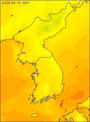 2026-08-16 00 : 00