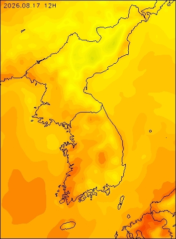 2026-08-17 12 : 00
