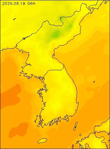 2026-08-19 06 : 00