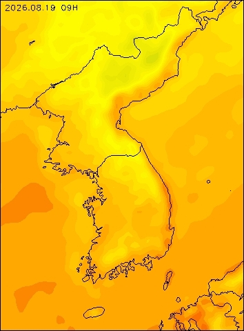 2026-08-19 09 : 00