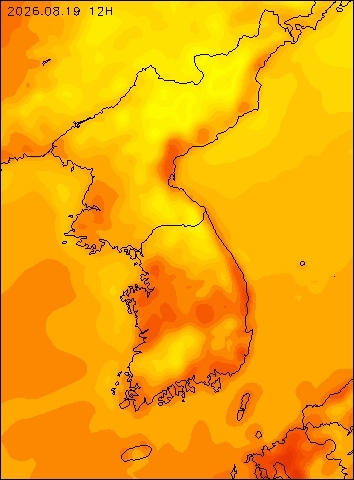 2026-08-19 12 : 00