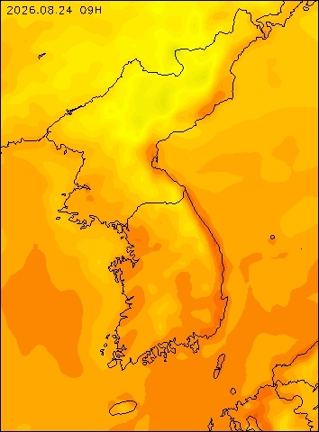 2026-08-24 09 : 00